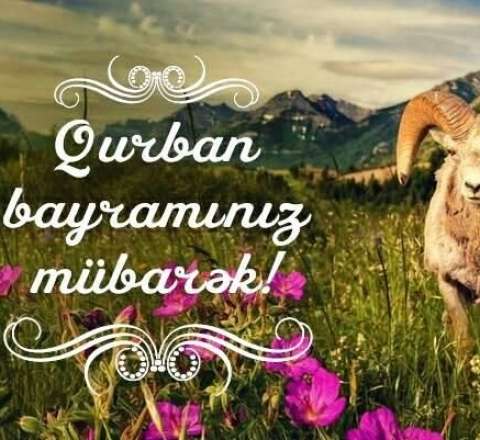 Azərbaycanda Qurban bayramıdır 