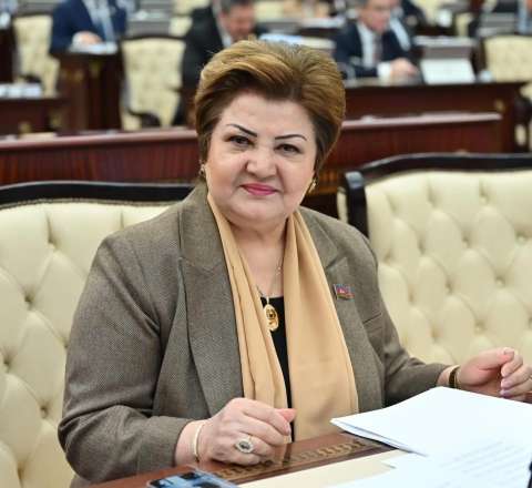  Böyük qaçqın ordusu yaranacaq, silahlı qruplar güclənəcək - Millət vəkili 
