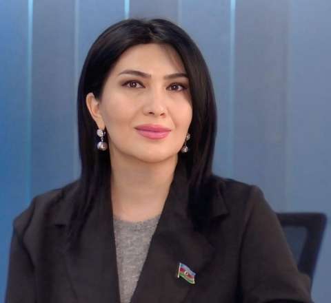 "Yekaterinburqdakı hadisələr böyük ssenarinin bir epizodudur" - Millət vəkili