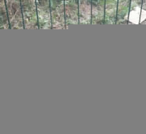 Masallıda əzablı ölüm hadisəsi ilə bağlı həqiqət 78 İL SONRA ORTAYA ÇIXDI 