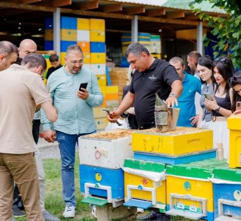 Jurnalistlər üçün Qəbələ, Şəki və Zaqatalaya mediatur təşkil olunub - FOTO 