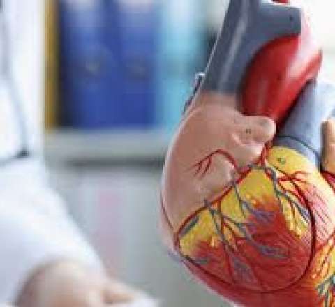 Stent qoyulan xəstələrin etdiyi səhvlər  – Kardioloq xəbərdarlıq edir