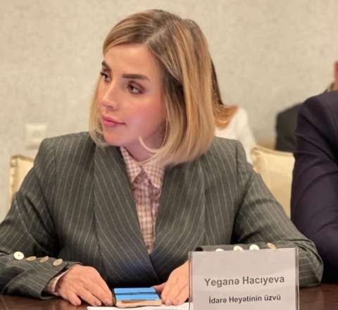 Zəngəzura qarşı tədbir: Yeganə Hacıyevanın Tehranda nə işi var? - Foto 
