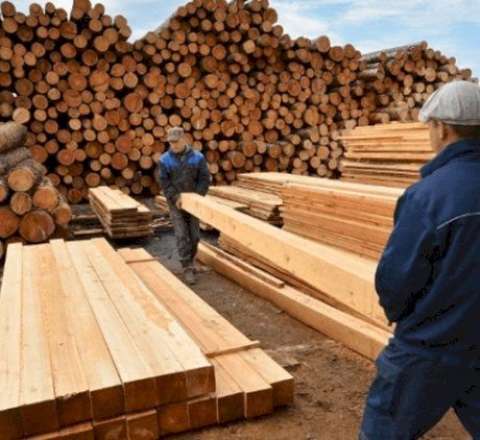 Tikinti materialları alanlara xəbərdarlıq 