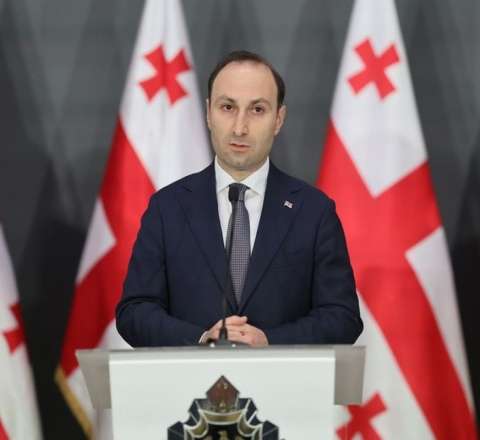 Gürcüstan DTX rəhbəri istefa verdi 