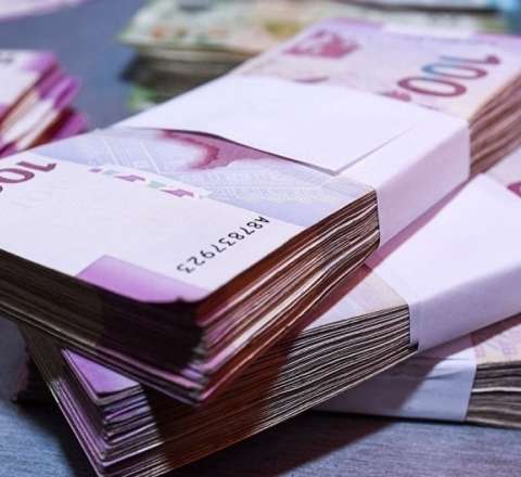 Büdcə daxilolmaları 30 faiz artacaq - İqtisadçı 