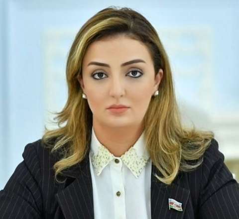 Millət vəkili istefa verdi - Bu federasiyanın bütün rəhbər heyəti getdi 