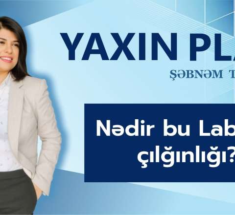 Niyə hamı Labubu almaq istəyir? - Duyğulara və cibə işləyən oyuncaqlar - VİDEO