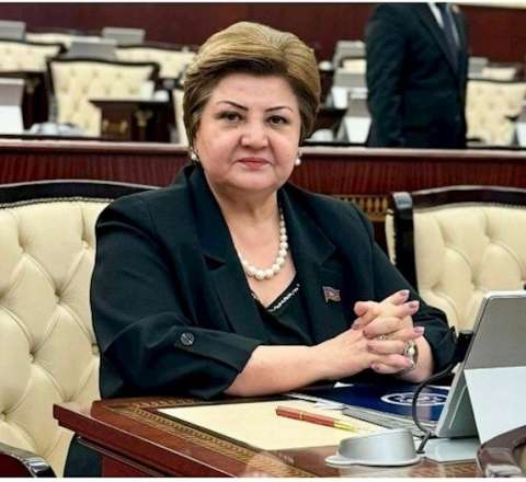 Hədəf İsrail üzərindən Azərbaycan-Türkiyə qardaşlığıdır - Tənzilə Rüstəmxanlının yazısı 