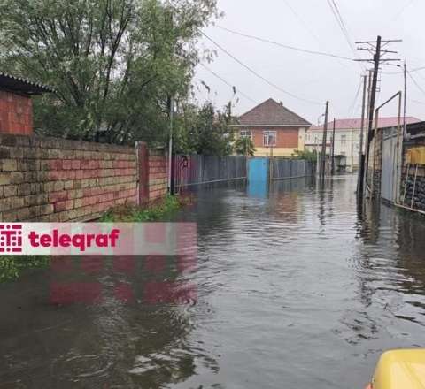 Lənkəranda evləri su basdı 