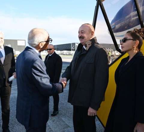 Prezident Danimarkaya işgüzar səfərə getdi 