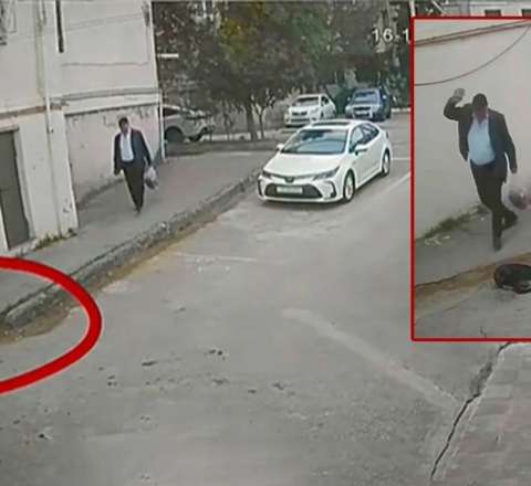 İti daşla vuran şəxslə bağlı tədbir görüldü 