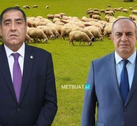 Həbs edilən icra başçıları şərik çıxdı - YENİ FAKTLAR 