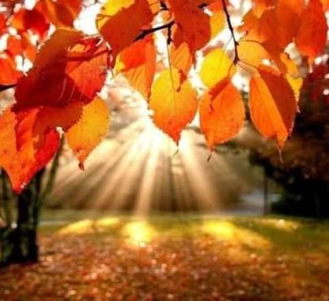 Bazar günü hava necə olacaq?  