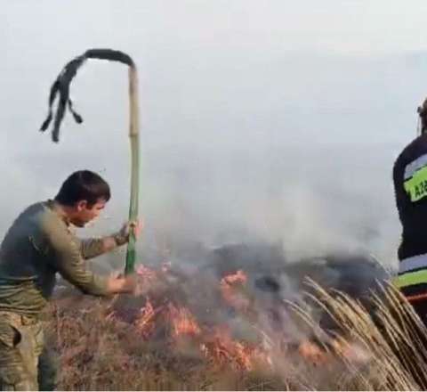 Gədəbəy dağlarında yanğın – VİDEO 