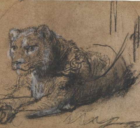 400 yaşlı əsər 20 milyona satılır – Ovuc boydadır 