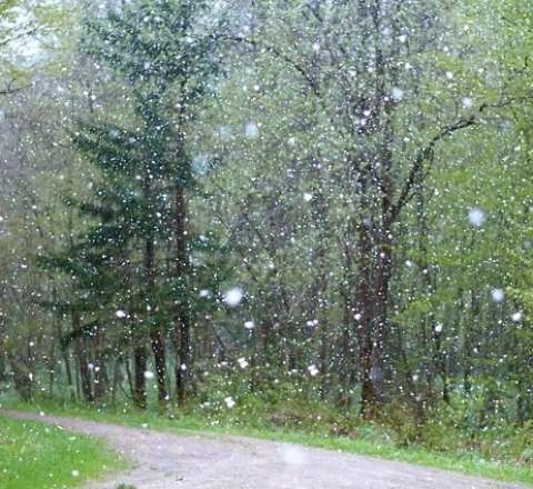 Dağlara qar yağacaq – Sabahın hava proqnozu 