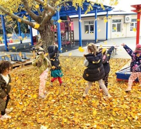 Məktəblərdə payız tətili başlayır 