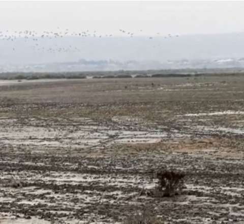 Ən böyük göllərimizdən biri təhlükədə – Demək olar ki, quruyub – VİDEO 