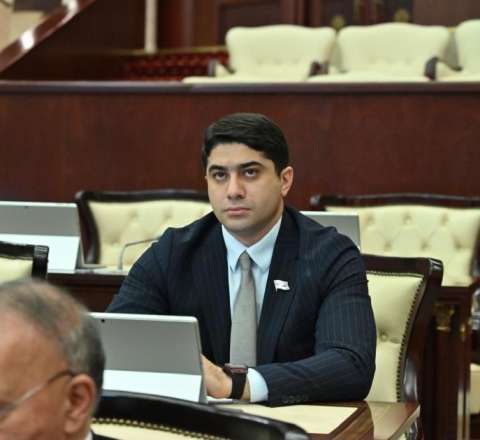 Gündəm olan deputatdan təkliflər – Deyirdilər səsi çıxmır  