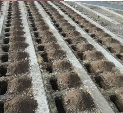 Təcili 500 məzar qazıldı: Türkiyədə diqqətçəkən hazırlıq - FOTO 