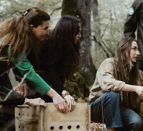 Prezident ailəsinin Lənkərandan maraqlı - FOTOLARI 