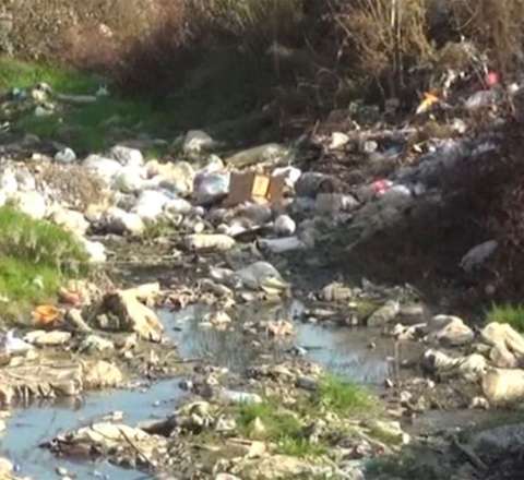 Cəlilabadda zibil qalaqlanır – Məişət tullantıları aylardır daşınmır – VİDEO 
