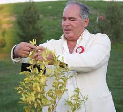 “AzNar” müflis olmaq ərəfəsində – Borc yarım milyona çatıb 