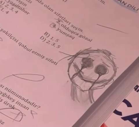 Bakıda 13 yaşlı qızın müəmmalı ölümü: Telefonunda gördükləri ailəni ŞOKA SALDI - VİDEO 