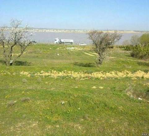 Torpağa görə əmisi oğlunu bıçaqladı - Təfərrüat 