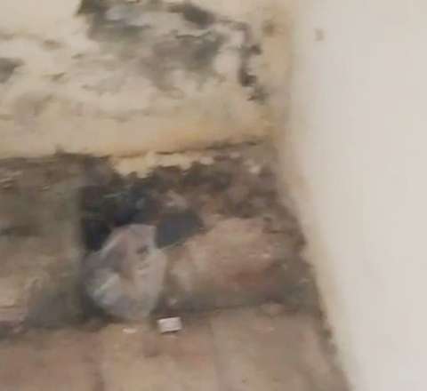 Yevlax stadionunda biabırçı vəziyyət - VİDEO 