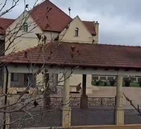 Ramiz Mehdiyevin Nabrandakı 4 mərtəbəli villası - VİDEO 