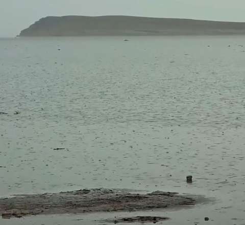 Urmiya gölündə həyat əlamətləri – Ümidlər yenidən oyandı  – VİDEO 