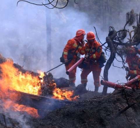 Neft quyusu yaxınlığında yanğın oldu 