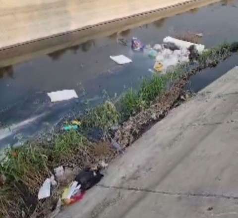Saray bağlarında antisanitar vəziyyət – Samur-Abşeron kanalın üfunət bürüyüb – VİDEO 