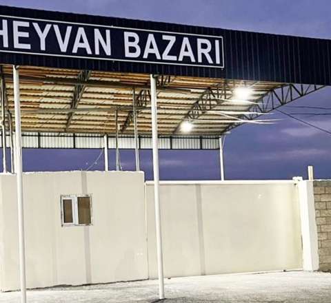 Bərdə heyvan bazarı açıldı - FOTOLAR 