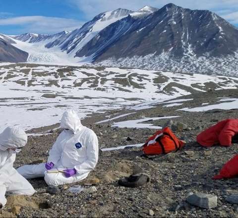 Yeni pandemiya:  Vəhşi heyvanlar insan məskənlərinə yaxınlaşacaq 