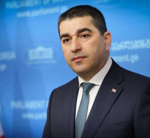  Gürcüstan parlamentinin sədri Avropa İttifaqını tənqid etdi 