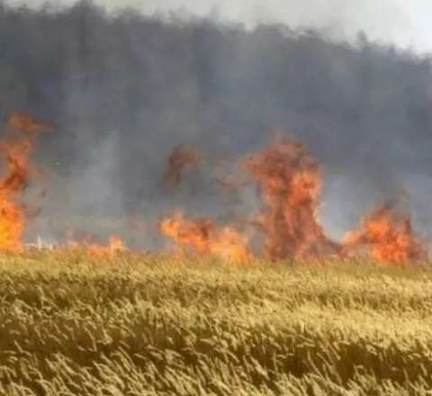 Yeni cərimələr gəlir – İnzibati həbs də mümkündür 