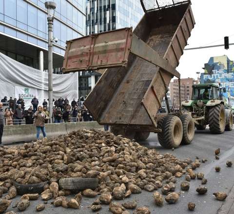 Brüsseldə “kartof inqilabı” – Paytaxt yolları tarlaya döndü – FOTO – VİDEO 
