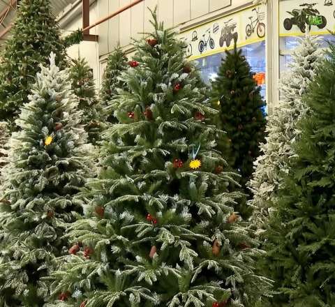 Bayram yolkaları və bəzək əşyaları niyə bahadır? - AÇIQLAMA 