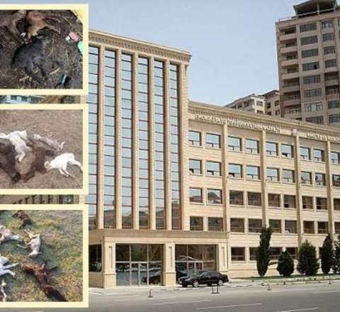 Nazirliyin 25 il gizlətdiyi cinayət - "Köməkçisinin kartına 3700 manat pul atdım" - VİDEO/FOTO 