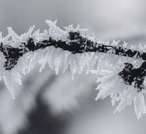 Bayram günlərində hava necə olacaq?  