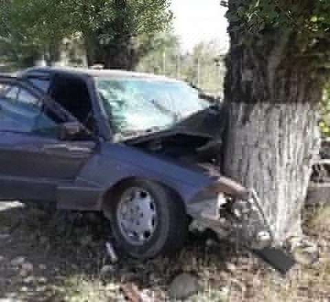 Qaxda avtomobil ağaca çırpıldı - Ölən var 