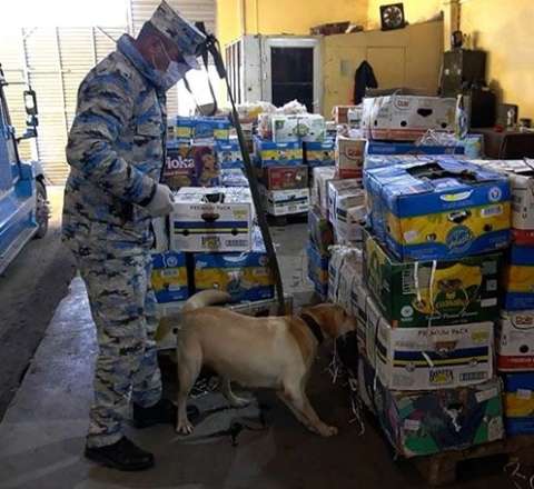 “Qarpız”ın yükündə narkotik keçirməyə cəhd – VİDEO 