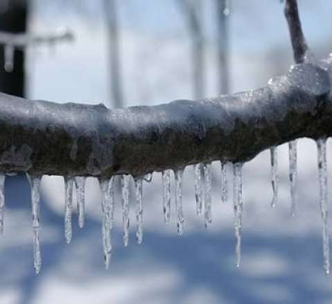 Bu ərazilərdə 20⁰-dək ŞAXTA VAR 