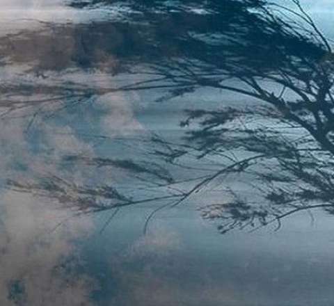 Küləkli hava şəraiti ilə bağlı XƏBƏRDARLIQ  