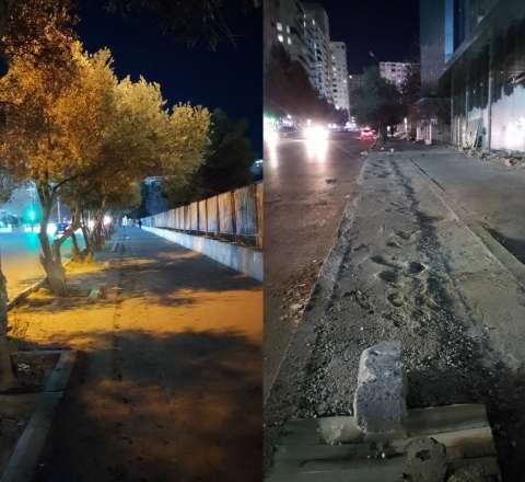 Xırdalanda ağacları kəsdilər - 13 250 manat cərimə... - FOTO 