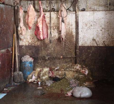 Bu bazarda ət məhsulları antisanitar şəraitdə satılırmış - VİDEO 