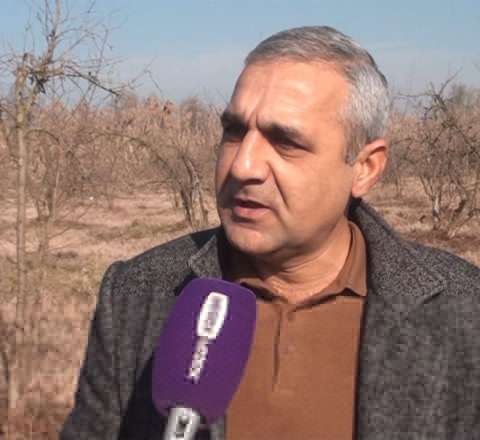 Bağına ciddi ziyan dəyən fermer sığortasını ala bilmir – VİDEO 